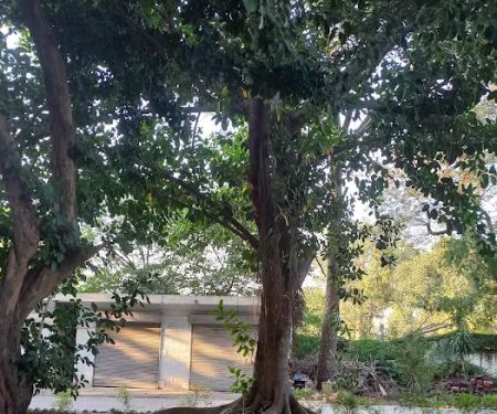 Fatima Jinnah Women University - City Campus