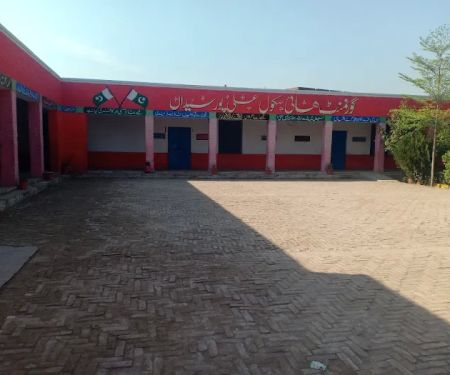Government High School Ali Pur Syedan