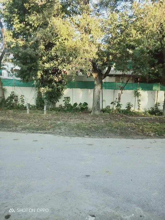 Islamabad Model College for Girls F-8/1 Picture 3