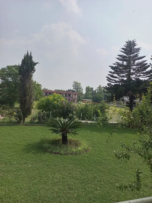 Islamabad Model College for Girls F-8/1 Picture 9