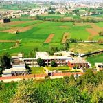 Govt. college Of Management Science Bamkhel (Swabi)