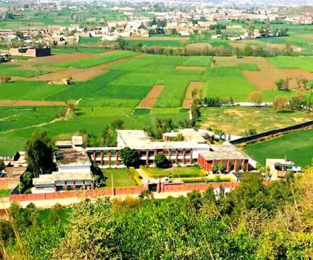 Govt. college Of Management Science Bamkhel (Swabi)