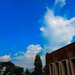 Govt.Associate College for Girls Miani