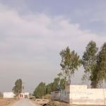 Government primary school dhari main ishaq