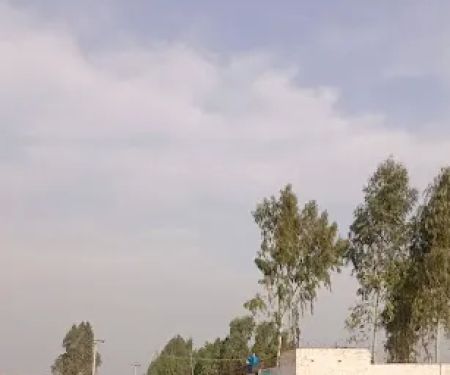 Government primary school dhari main ishaq