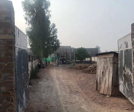 GGPS wapda colony