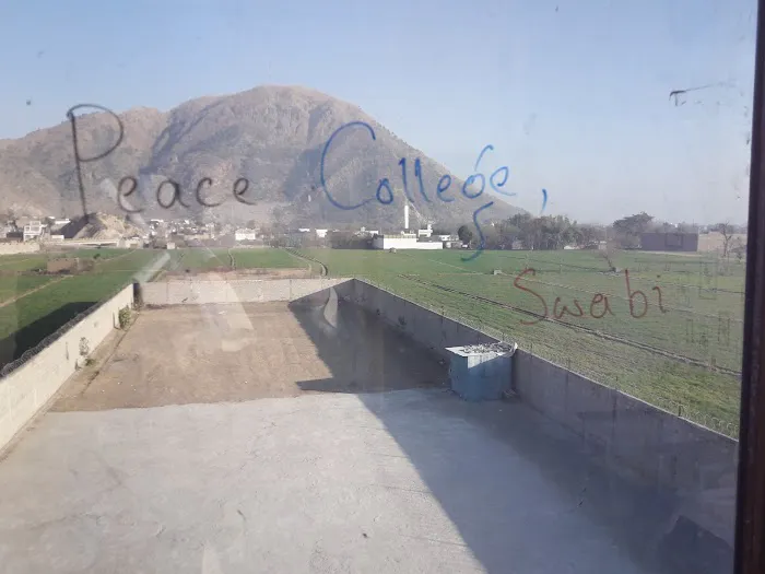 THE PEACE COLLEGE SWABI Picture 10