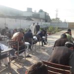THE PEACE COLLEGE SWABI