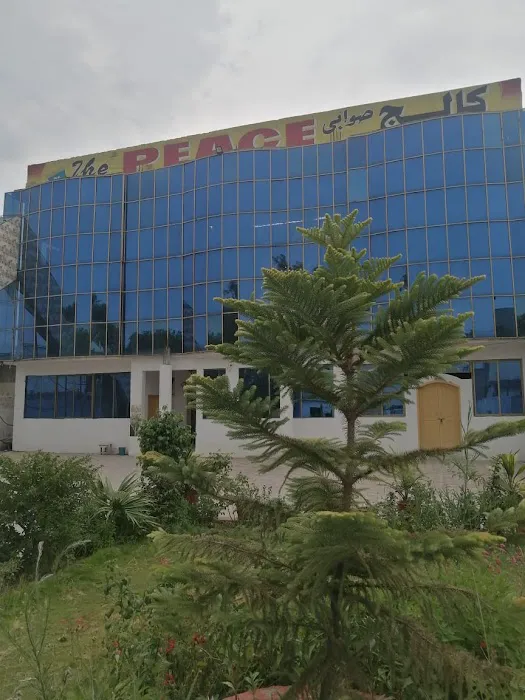 THE PEACE COLLEGE SWABI Picture 4