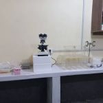 The Pioneer College of Pharmacy, Swabi