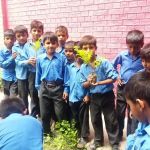 Govt Girls Primary School