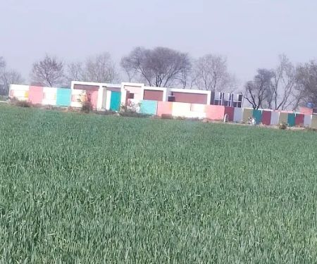 Govt Girls Primary School Garatian