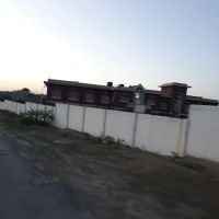 Allama Iqbal International Open University ico