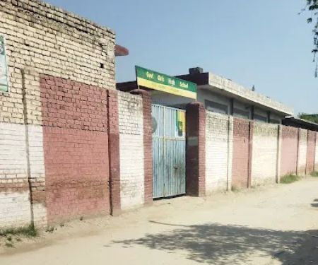 Government girls high school