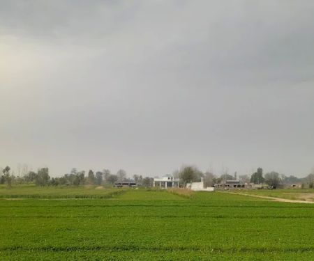 Govt. Boys High School (High Selection)