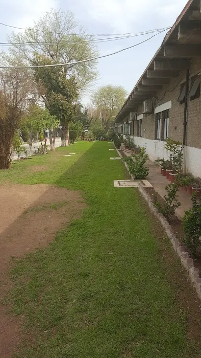 UET Peshawar (Kohat Campus) Picture 2