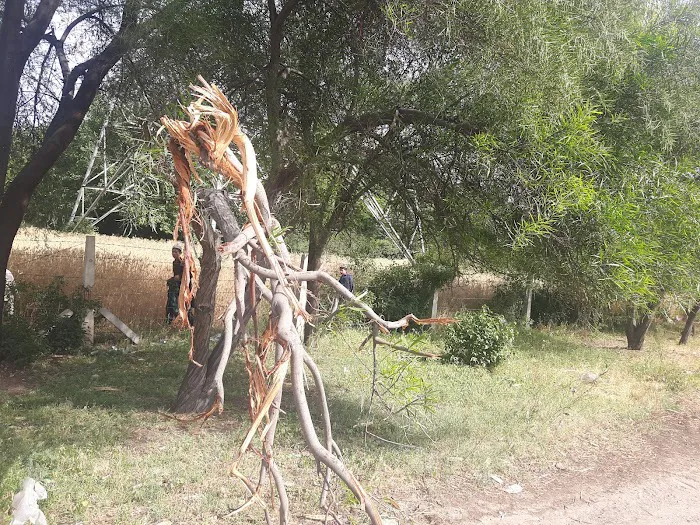 UET Peshawar (Kohat Campus) Picture 8