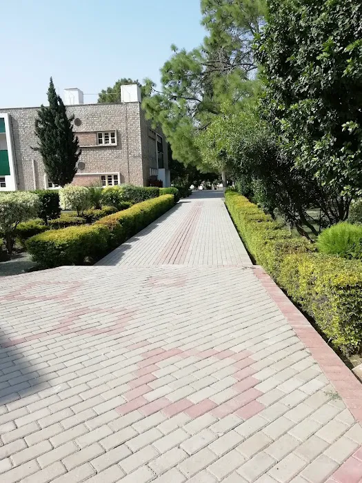 Cadet College Kohat Picture 6