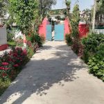 Government Primary School Phalia keeman For Boys