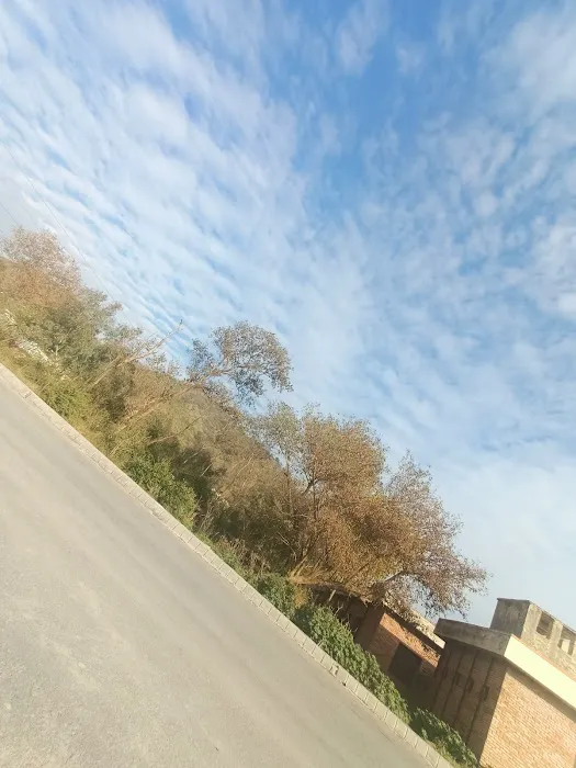 Women University Swabi Picture 9