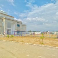 Punjab College Bhera ico