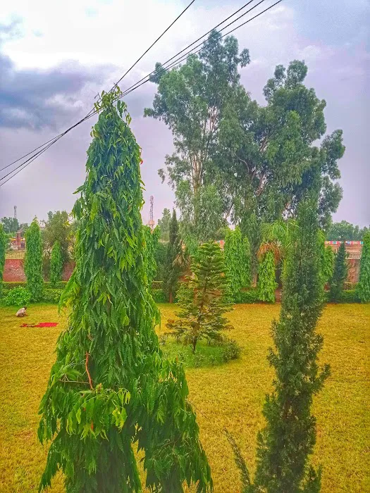 Govt. Associate College Miani or degree college Miani Picture 5