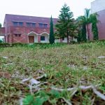 Govt. Associate College Miani or degree college Miani