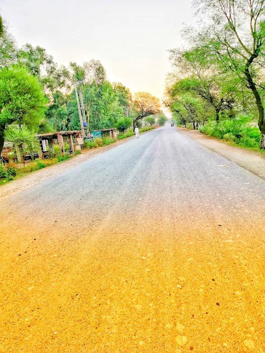 Government Boys Degree College Bhera Picture 6
