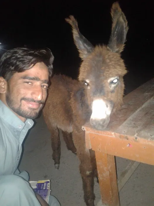 Behzad Raza College Attock Picture 5