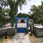 GOVT. Degree College (Female) Kunjah