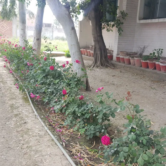 Govt. Associate College for Girls Picture 7