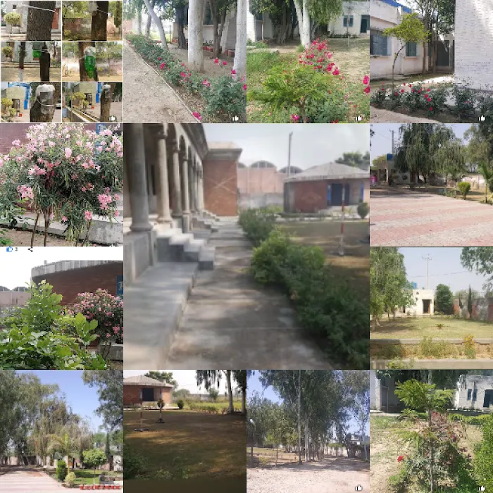 Govt. Associate College for Girls Picture 10