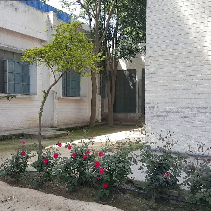 Govt. Associate College for Girls Picture 4