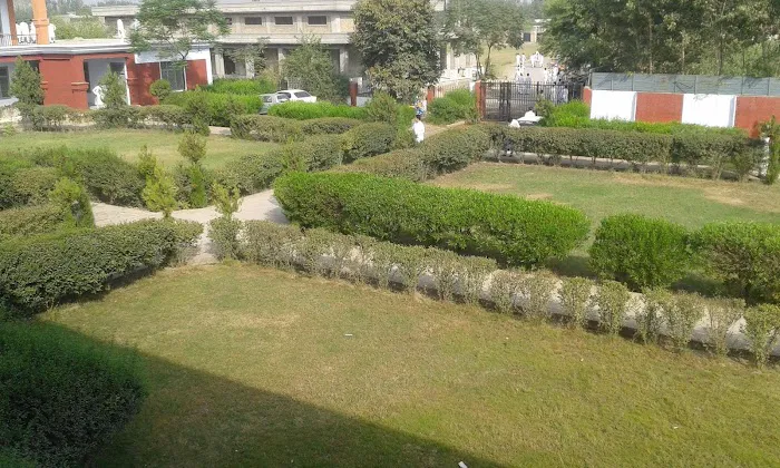 Govt Degree College Shabqadar Picture 5