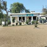 GCMHSS Nahaqi Peshawar