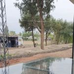 goverment primary school jarma kohat