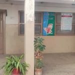 Government Primary school MC No2 junglekhel