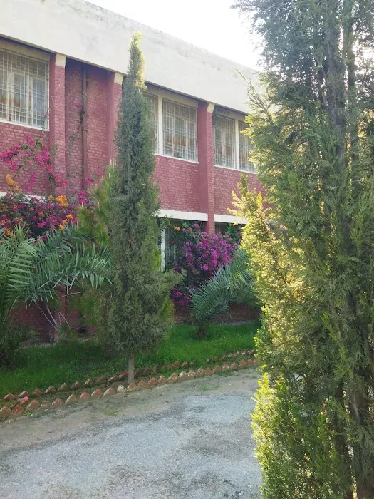 Govt. Associate College Ban Hafiz Jee (Degree College) Picture 2