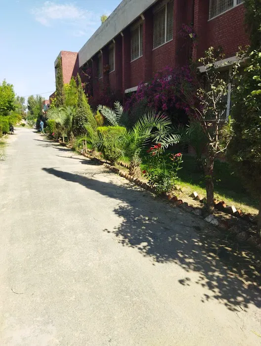 Govt. Associate College Ban Hafiz Jee (Degree College) Picture 5