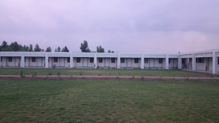 Govt. Associate College Ban Hafiz Jee (Degree College) Picture 1
