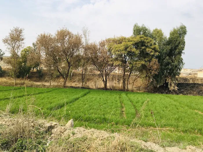Cadet College Kallar Kahar Girls Campus Picture 10