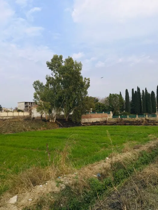 Cadet College Kallar Kahar Girls Campus Picture 9