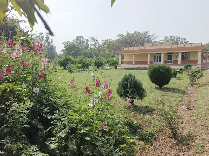 F.G Degree College For Men Picture 8