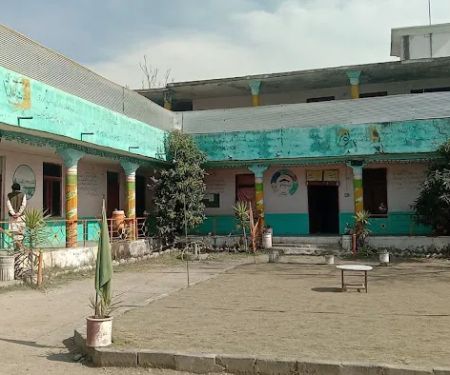Buner Public School
