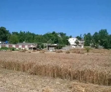 GHS Deewana Baba