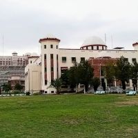 Kohat University of Science and Technology. ico