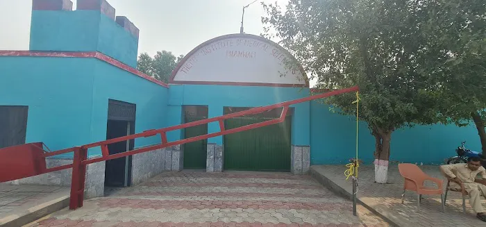 The City Montessori school and college pakki mor campus Picture 2