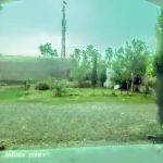 GPS Dhall Behzadi