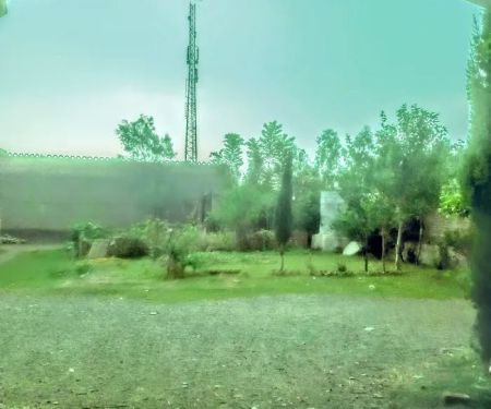 GPS Dhall Behzadi