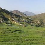 primary school takail
